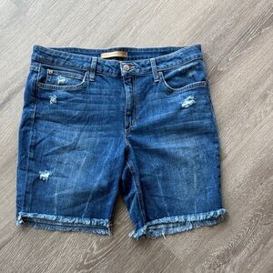 Joe's Jeans Classic Blue Denim